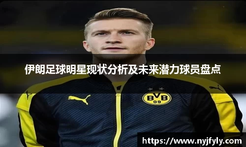 伊朗足球明星现状分析及未来潜力球员盘点